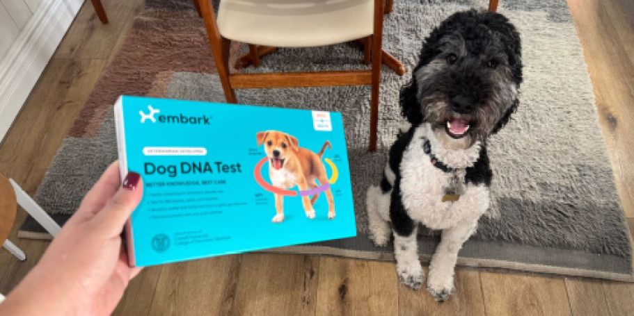 Embark Early Black Friday Deals = Rare Savings on Breed and Health DNA Tests