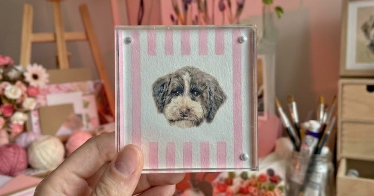 15 BEST Gift Ideas for Pets & Pet Parents (2 Are Worth the Splurge)