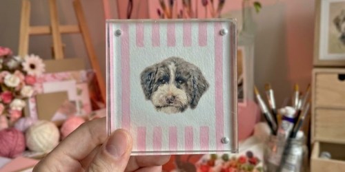 15 BEST Gift Ideas for Pets & Pet Parents (2 Are Worth the Splurge)