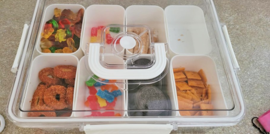 Snackle Box w/ Reusable Ice Pack Just $9.99 on Amazon (Regularly $32)