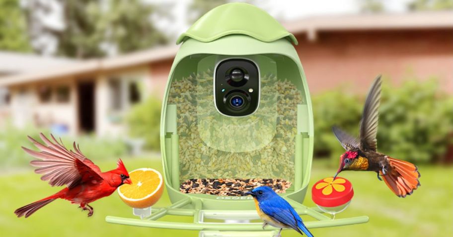 Green bird feeder with birds and fruits on it 