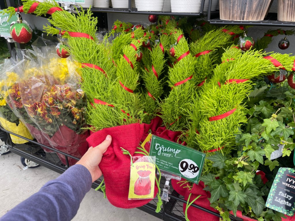 Person holding up grinch tree while standing outside Trader Joe's