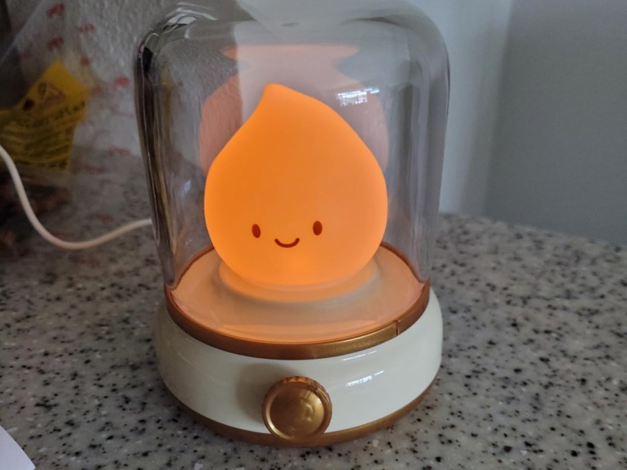 an led nightlight that looks like a campfire flame