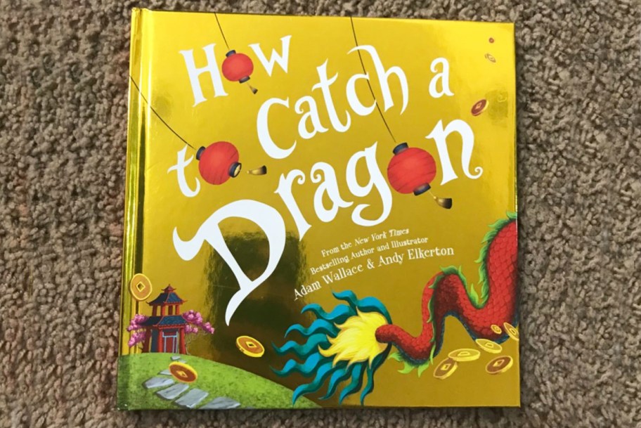 How to Catch a Dragon hardcover book