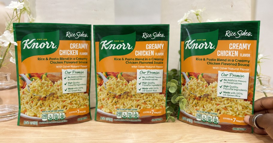 Knorr Rice Sides 8-Pack Only $5.50 Shipped on Amazon