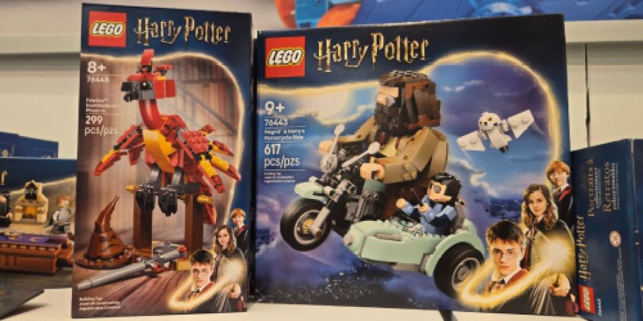 *Rare* LEGO Discounts + Earn Kohl’s Cash | Harry Potter, Minecraft, Disney & More