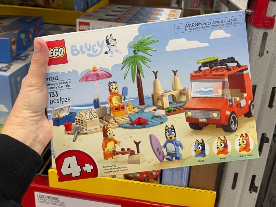LEGO Bluey Beach