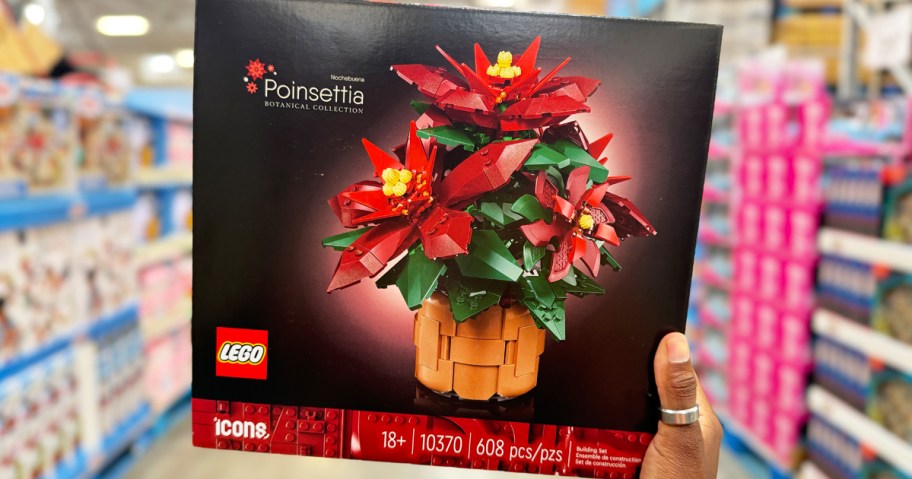 hand holding LEGO Poinsettia set box in store