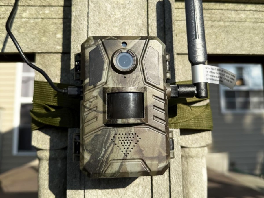 trail camera strapped to a fence post