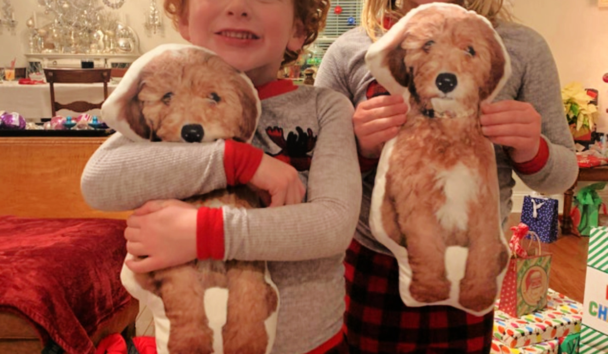 Custom 3D Pet Pillows Just $20 Shipped (Unique Gift Idea!)