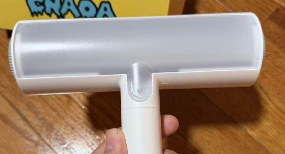 hand holding Pet hair removal