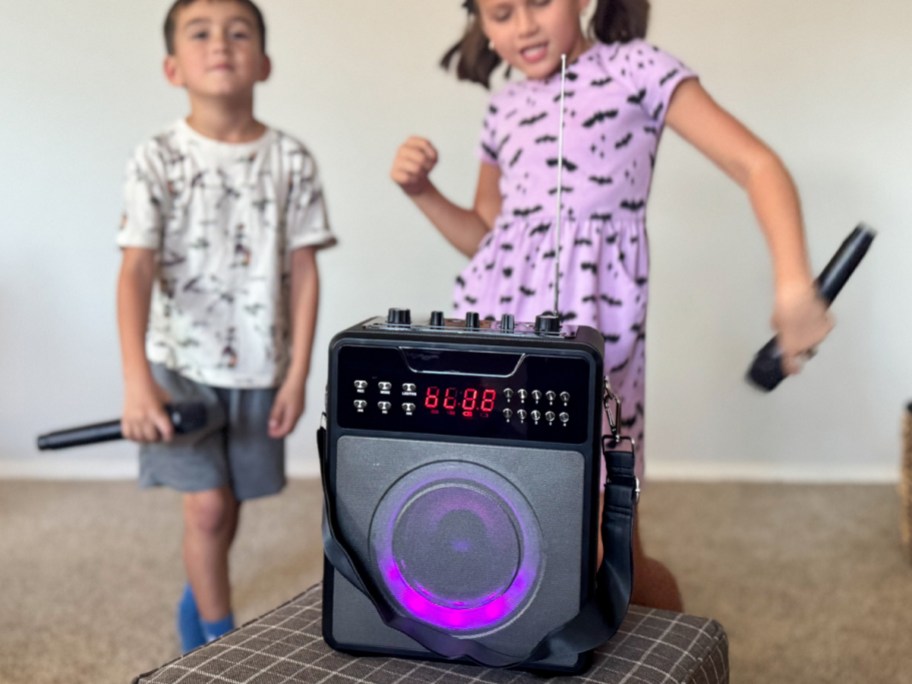 Portable Speaker Karaoke 2