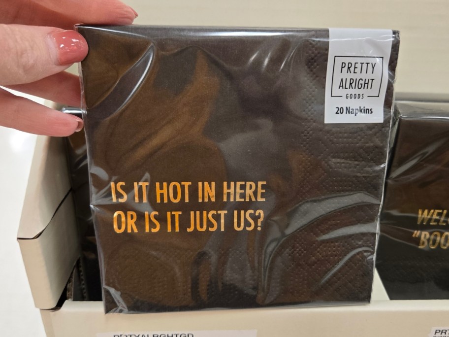 hand holding a pack of napkins that says 'Is It Hot in Here Or Is It Just Us'