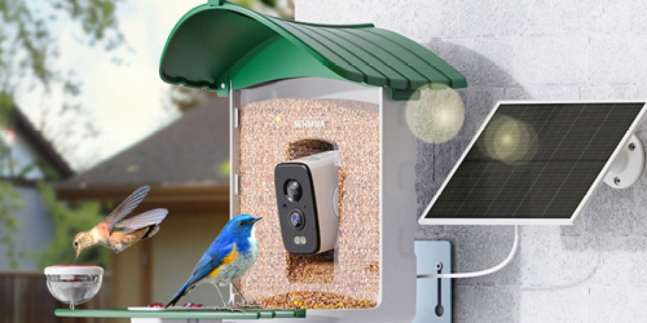 Smart Bird Feeder w/ Camera Only $39.99 Shipped for Amazon Prime Members