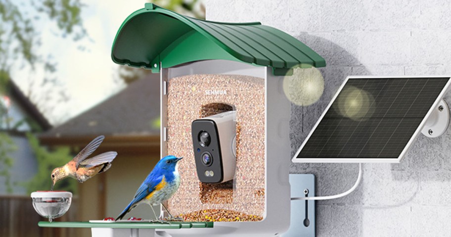 SEHMUA Smart Bird Feeder
