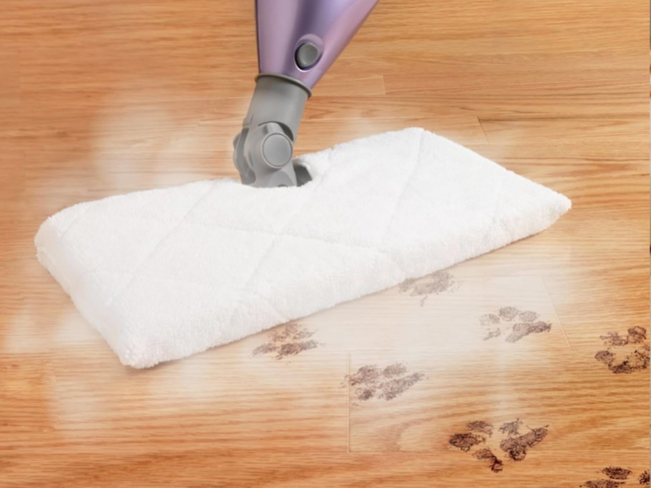steam mop cleaning muddy paw prints