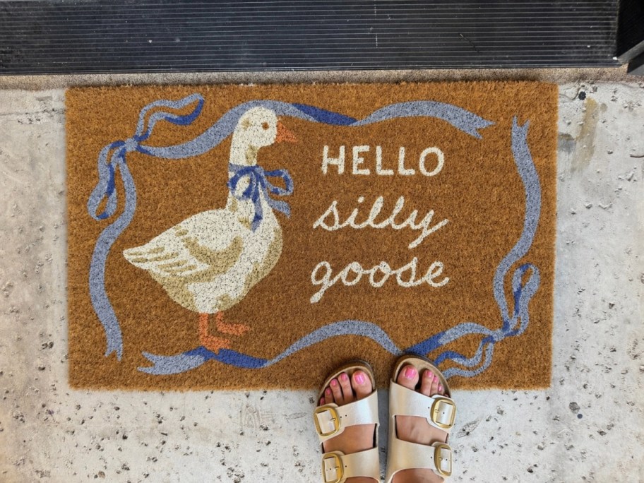 Feet standing on hello silly goose doormat