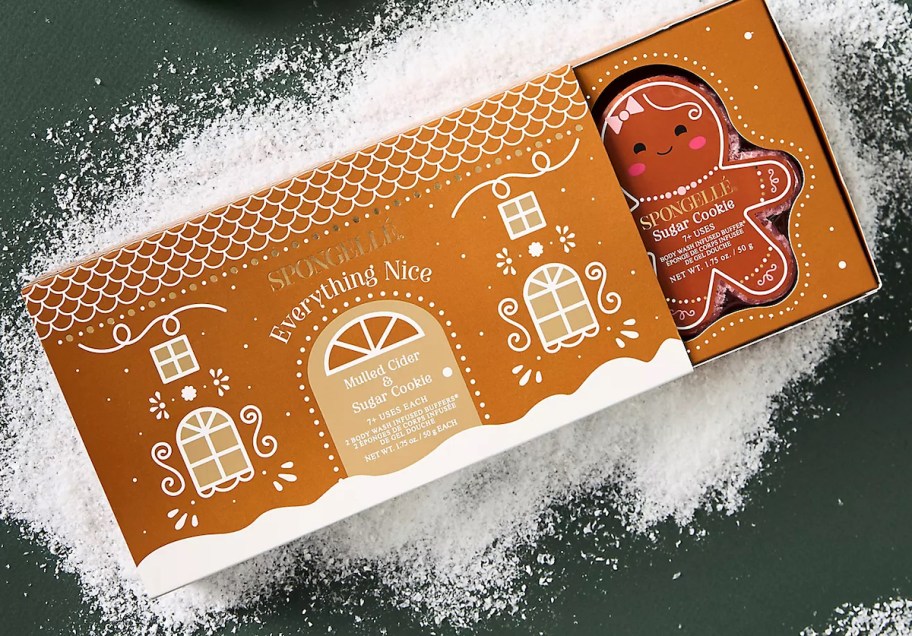 Spongellé Everything Nice Gingerbread Gift Set on snowy green background