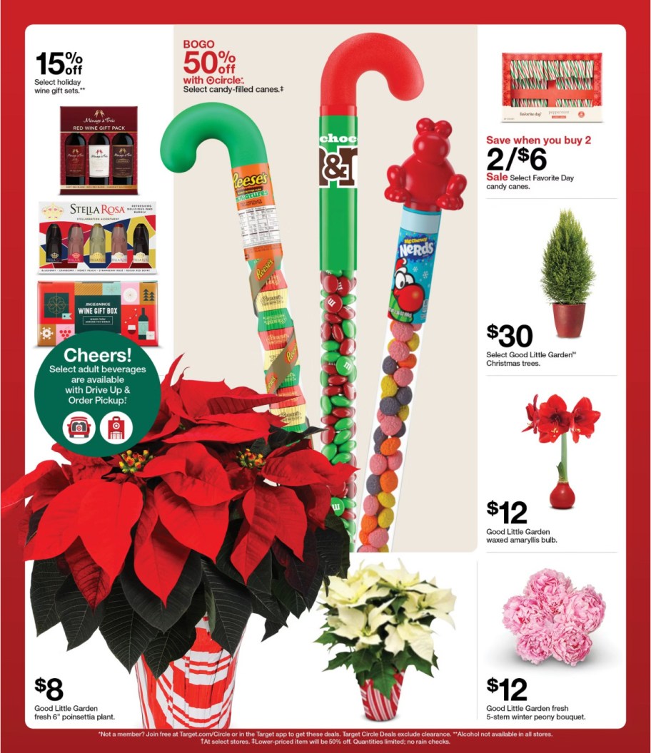 page from Target ad