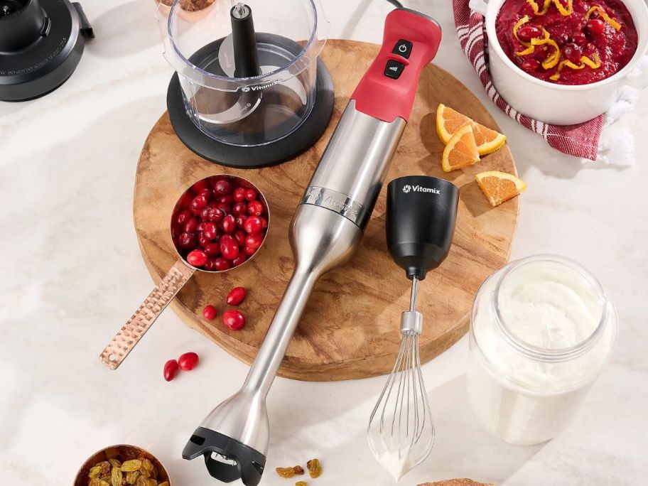 Vitamix 5-Speed Deluxe Immersion Blender Bundle