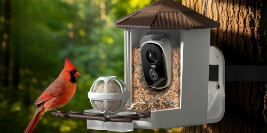 Smart Bird Feeder Just $39.83 Shipped for Amazon Prime Members