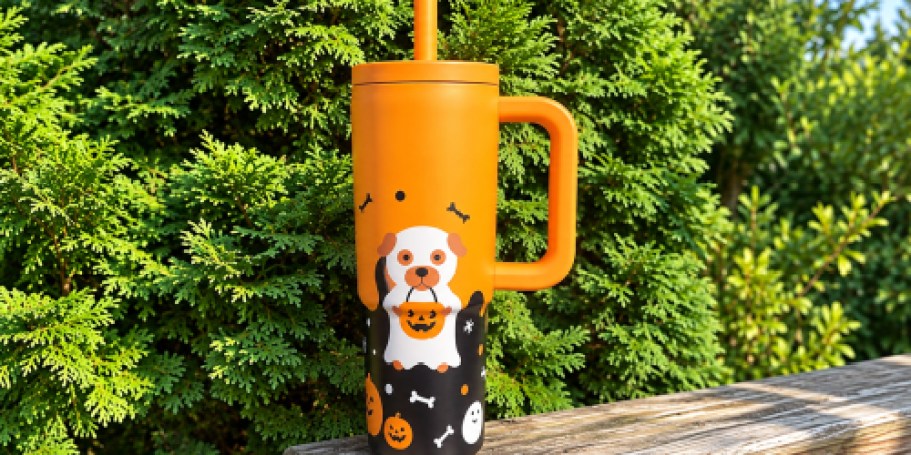 Cute New Halloween Tumblers Spotted on Walmart.com for Just $9.97