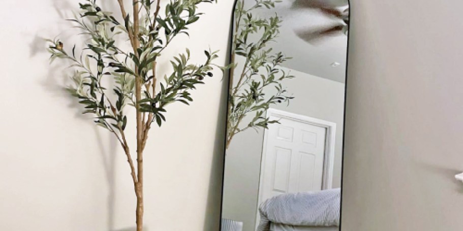 Arched Full-Length Mirror Only $37.99 Shipped on Amazon (Reg. $80)