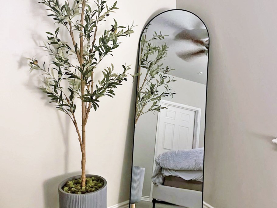 Arched Full-Length Mirror Only $37.99 Shipped on Amazon (Reg. $80)