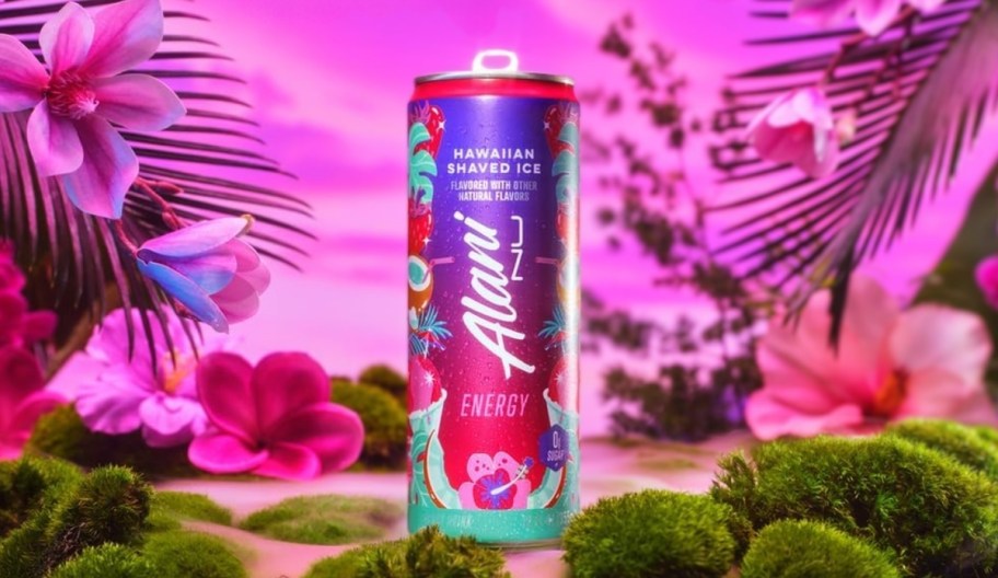 a can of alani nu hawaiian shaved ice energy drink