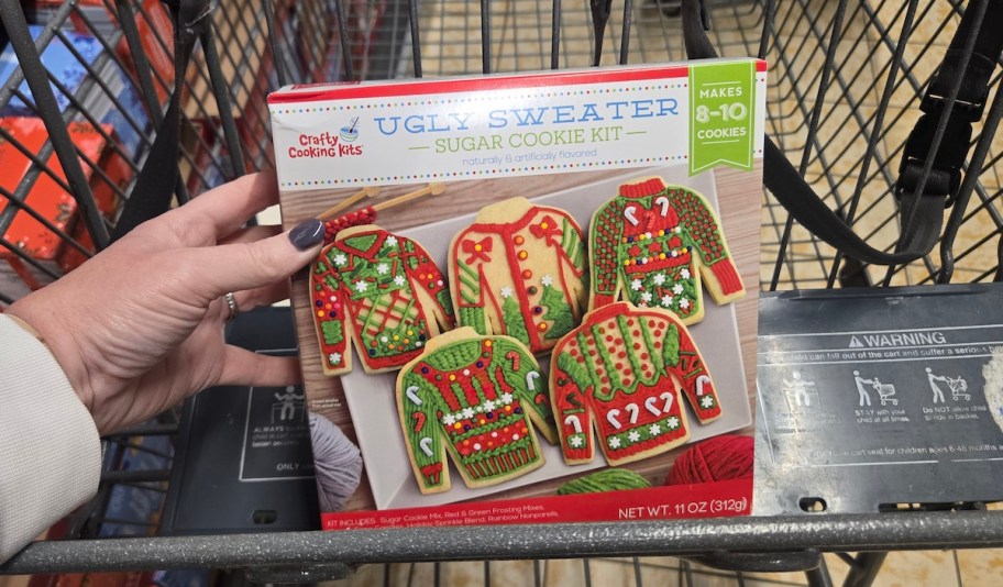 hand holding sugar cookie kit