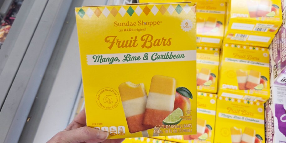 hand holding box of fruit bars