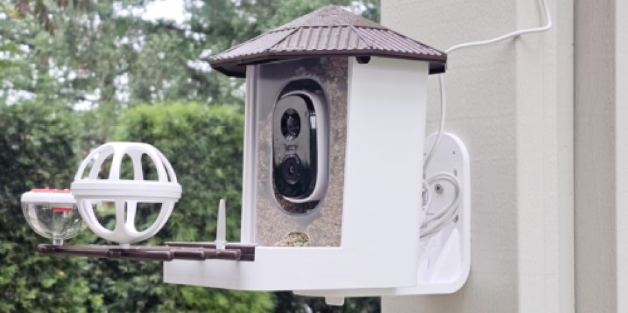 Smart Bird Feeder Only $39.99 Shipped on Amazon (Get Alerts Sent Straight To Your Phone!)
