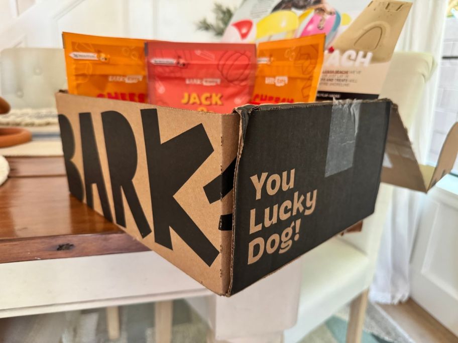 barkbox on table