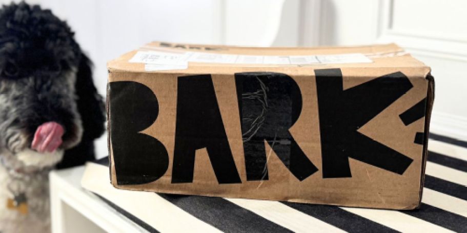 FREE Extra Toy in Every BarkBox (Each Box Includes 3 Toys, 2 Treats, & More!)