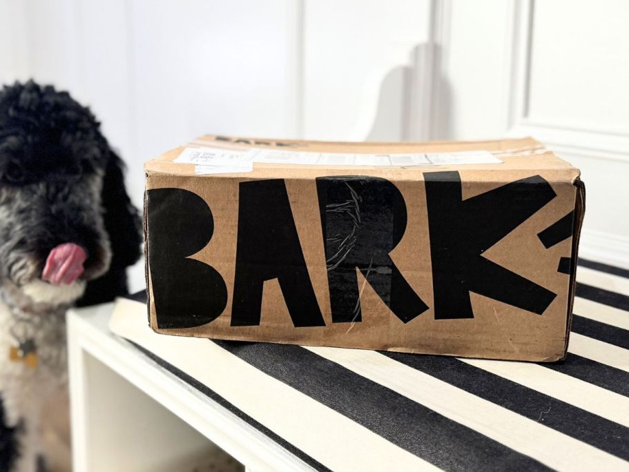 FREE Extra Toy in Every BarkBox (Each Box Includes 3 Toys, 2 Treats, & More!)