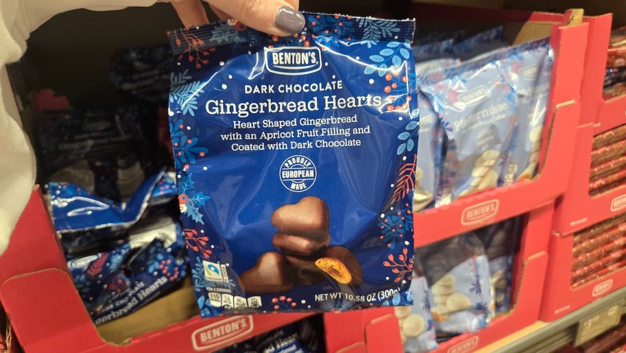 hand holding blue gingerbread heart cookies