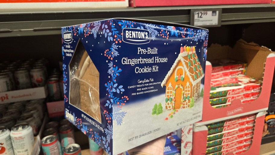 hand holding benton's gingerbread house kit