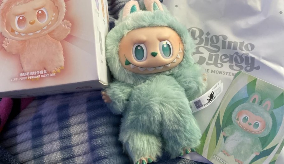 blindbox 6.69 inch labubu plush
