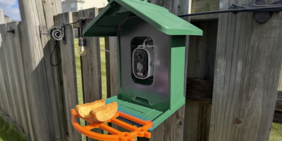 Smart Bird Feeder w/ Camera Just $19.99 Shipped w/ Amazon Prime (Reg. $170)