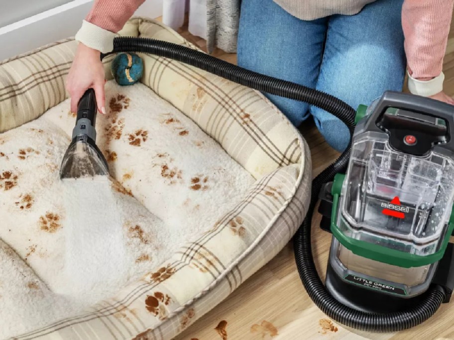 bissell little green pet pro