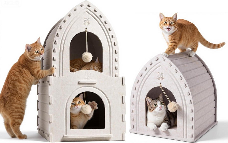 cat houses