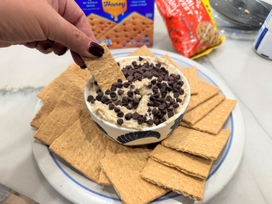 cheesecake dip made from cheesecake scraps (1)