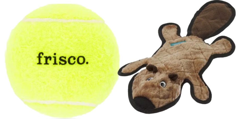 green tennis ball and squirrel dog toy
