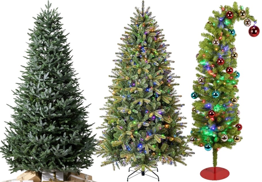 3 christmas trees