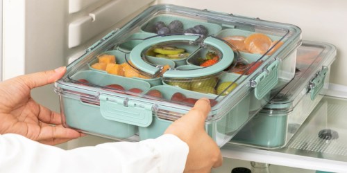 Snackle Box 2-Pack ONLY $9 on Walmart.com (Reg. $23) – Just $4.50 Per Box!