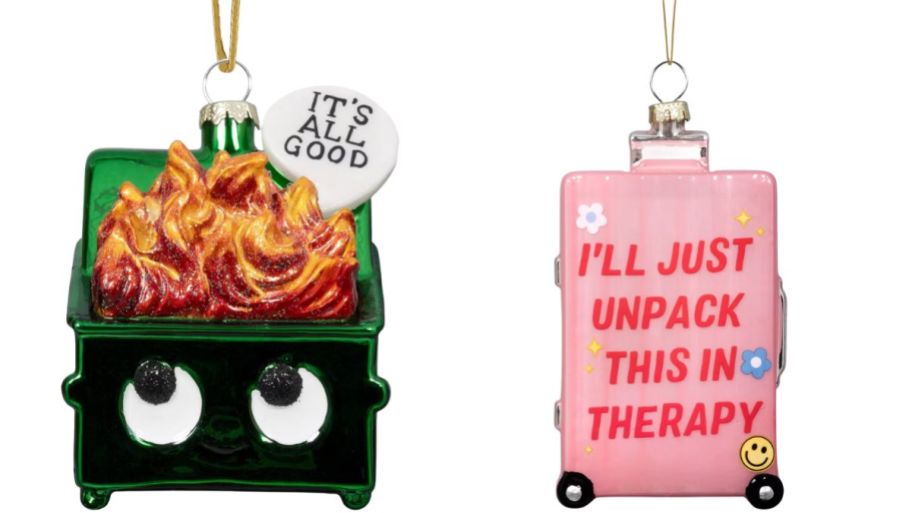 dumpster fire and luggage