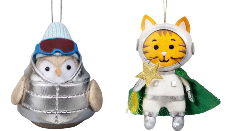 feathery friends and astro cat