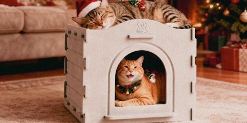 Indoor Felt Cat House Only $8.99 Shipped w/ Amazon Prime