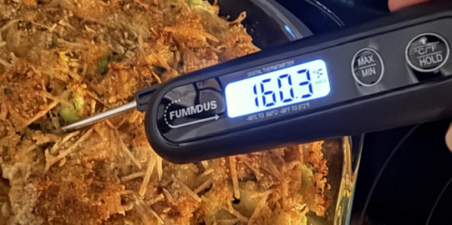 Digital Meat Thermometer Only $4.49 on Amazon (Reg. $13)