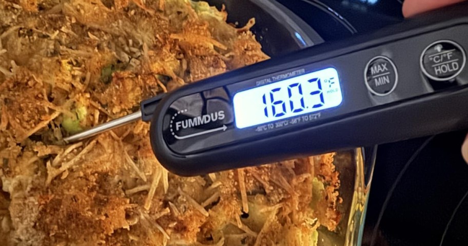 person using digital meat thermometer on a casserole
